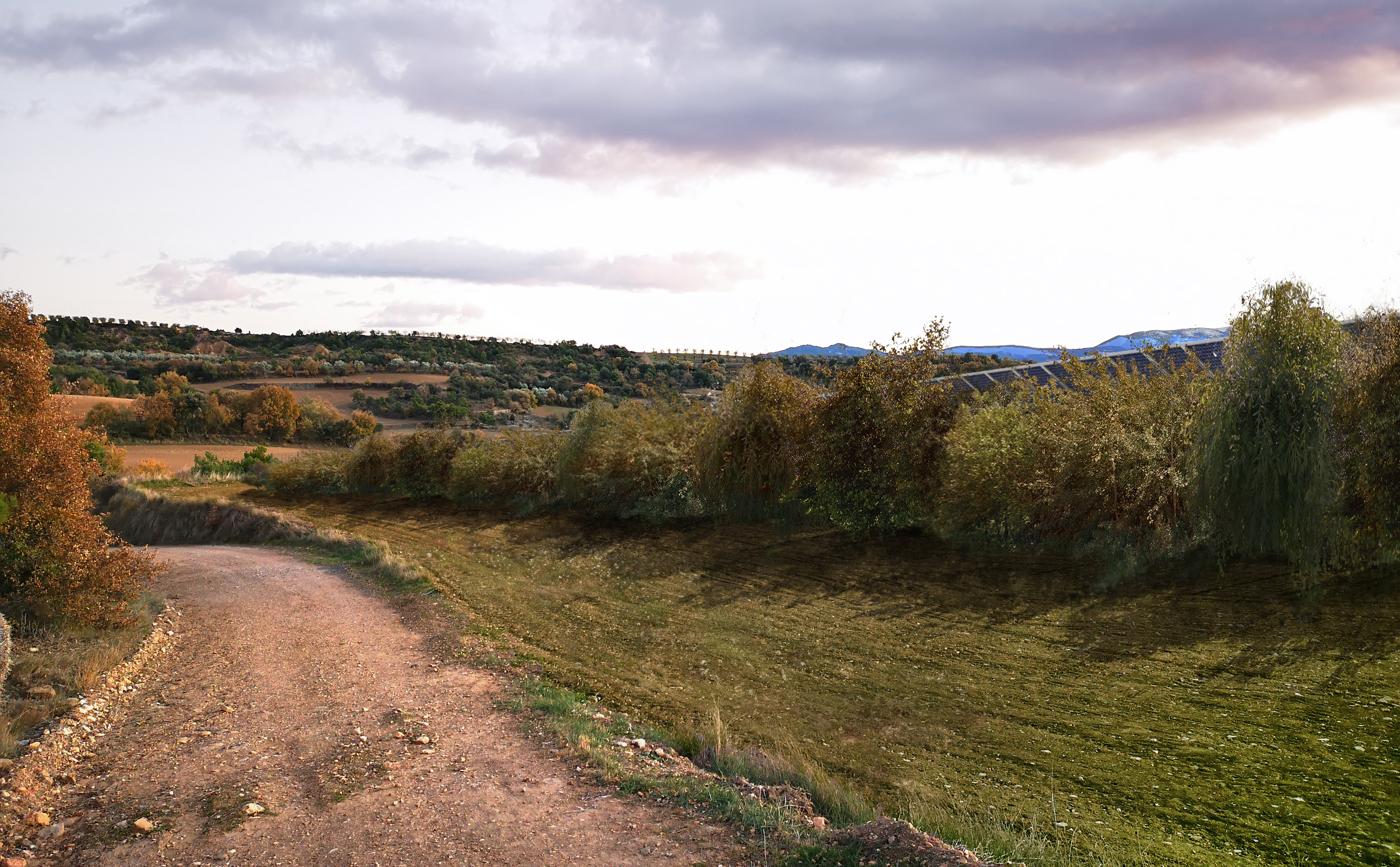 Simulació Pont de Fusta amb barreres vegetals
